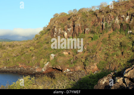 Tierjeta Hill (Frigate Bird Hill) und Darwins Bucht auf der Insel San Cristobal, Galapagos-Archipel Stockfoto