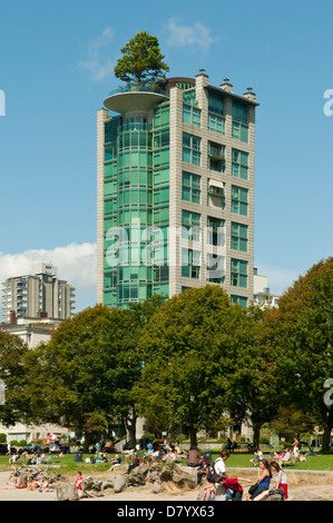 Baum auf Eugenia Ort, Vancouver, Britisch-Kolumbien, Kanada Stockfoto