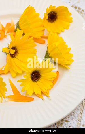 Essbare gelbe Ringelblumen auf einem weißen Teller. Stockfoto