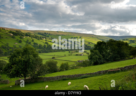 Ein Blick auf Swaledale, eines der malerischsten Täler in Yorkshire. Stockfoto