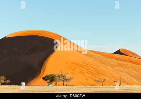 Düne 45 bei Sossusvlei, Namib Naukluft National Park, Namibia Stockfoto