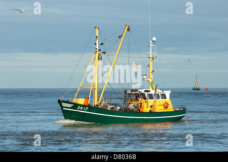 Angelboot/Fischerboot auf dem Wattenmeer (World Heritage) in den Niederlanden Stockfoto