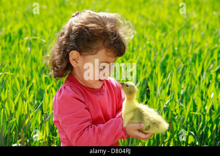 Kleines Mädchen mit Gans Küken. Stockfoto