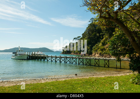 Steg am Schiff Bucht, Queen Charlotte Sound, Marlborough, Neuseeland Stockfoto