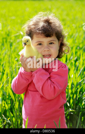 Kleines Mädchen mit Gans Küken. Stockfoto