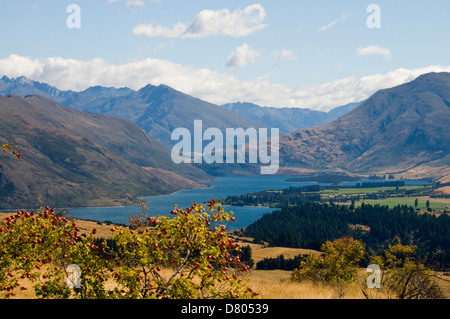 Lake Wanaka aus Mt Irons, Wanaka, Südinsel, Neuseeland Stockfoto