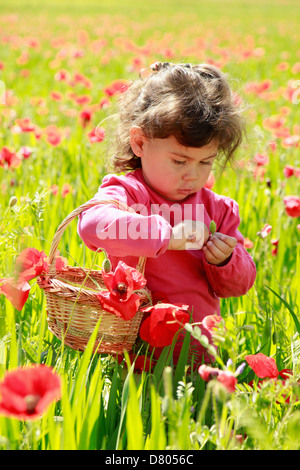 Kleines Mädchen mit Mohnblumen. Stockfoto