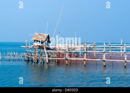 Falle Net/Pfahl Falle an der Mündung des Mae Klong River in den Golf von Thailand in Samutsongkram Stockfoto