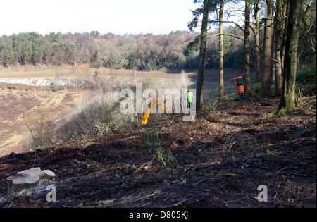 Alten A3 Hindhead, Teufels Punchbowl, Strauch-clearance Stockfoto