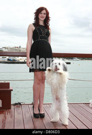 ASHLEIGH BUTLER & PUDSEY PUDSEY: DER FILM. PHOTOCALL. CANNES FILM FESTIVAL 2013 CANNES Frankreich 16 Mai 2013 Stockfoto