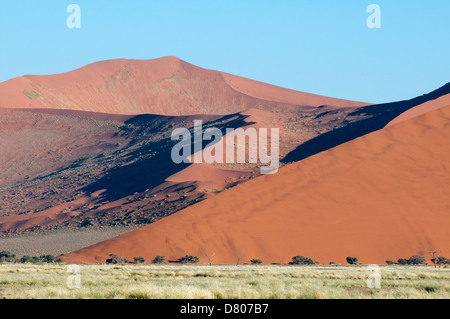 Sanddünen, Sossusvlei, Namib-Naukluft-Park, Namib-Wüste, Namibia. Stockfoto