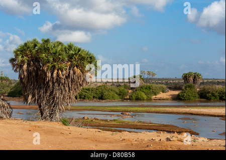 Tsavo River, Tsavo East Nationalpark, Kenia. Stockfoto