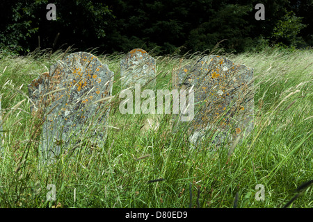 ungepflegte überwucherten Grabsteinen auf dem Kirchhof von Str. Marys Kirche in Selborne Stockfoto