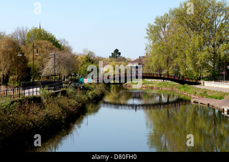 Fluss-Ton, Taunton, Somerset, England, Vereinigtes Königreich Stockfoto