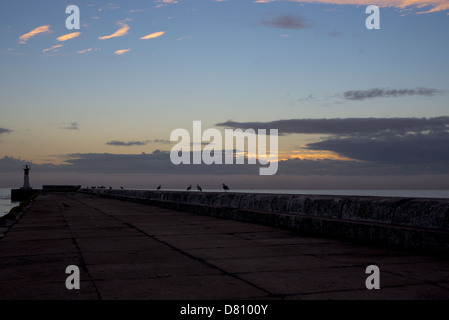 Kalk Bay Harbour Cape Town bei Sonnenaufgang Stockfoto