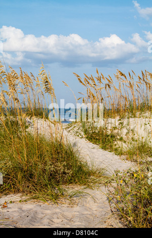 Dem Fußweg durch die Dünen zum Strand hinaus. Stockfoto