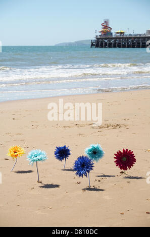 Bournemouth, UK 16. Mai 2013. Twelve Hundred künstlichen Gerbera sind "Bournemouth Pier heute Morgen in der Form des Wortes Bournemouth, als Teil der Blüte schön Bournemouth Kampagne die Stadt, so dass es durch bis ins Finale von Britain in Bloom Wettbewerb feiern gepflanzt worden". Bildnachweis: Carolyn Jenkins / Alamy Live News Stockfoto