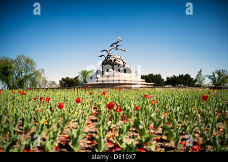 WASHINGTON DC, USA – der Tulpengarten vor dem Navy-Merchant Marine Memorial in Arlington, Virginia, auf Columbia Island am Ufer des Potomac gegenüber Washington DC. Das Denkmal ehrt diejenigen, die im Ersten Weltkrieg ihr Leben auf See verloren haben. Es wurde 1934 eingeweiht. Die Hauptskulptur ist aus Aluminium gegossen. Stockfoto