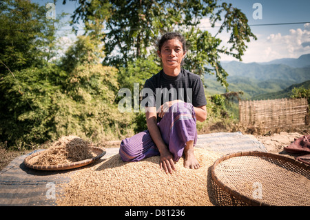 Frau Sorting Reisschalen traditionelle Sarong Golden Paddy Woven Trays Nordlaos // NORDLAOS, Laos — Eine Frau sitzt auf einer Plane aus getrocknetem Paddy-Reis und bereitet das geerntete Getreide in einem bergigen Dorf vor. Die flachen Bambuskörbe neben ihr sind traditionelle Winnowing-Tabletts. Die Landwirte verwenden diese, um gedroschtes Getreide in die Luft zu werfen, sodass die leichte, ungenießbare Spreu von der Brise weggetragen wird, während die schwereren Reiskörner zurückfallen. Stockfoto