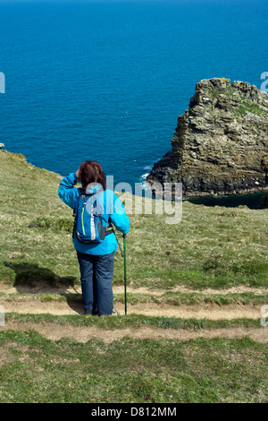 Eine weibliche Wanderer auf dem South West Coast Path zwischen Tintagel und Boscastle in Nord Cornwall, England, UK Stockfoto