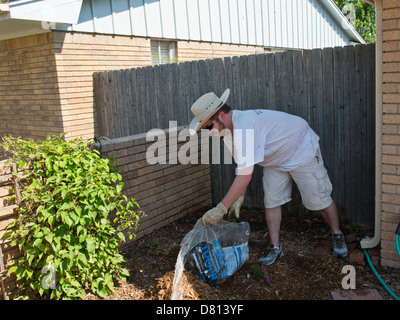 Ein kaukasischer Mann spreads Mulch in einem Blumenbeet im Frühjahr. Oklahoma, USA. Stockfoto