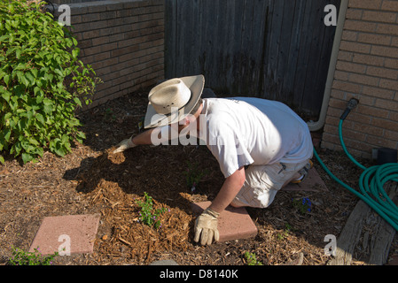 Ein kaukasischer Mann spreads Mulch in einem Blumenbeet im Frühjahr. Oklahoma, USA. Stockfoto