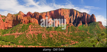 Panorama von Cedar Breaks National Park, Utah. Stockfoto