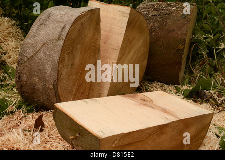 Frisch gesägte Baumstämme Stockfoto