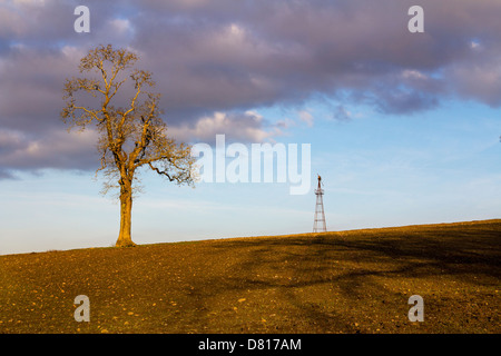 Neues Leben in einem Winter Ernte Feld, kann Hill Gloucestershire UK Stockfoto