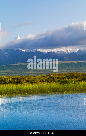 Panoramablick über Alaska Range inklusive Mt. McKinley (Denali Berg) aus Reflexion Teich, Denali National Park, Alaska, USA. Stockfoto