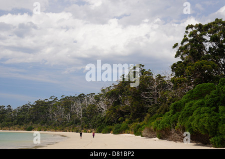 Wandern entlang dem Strand bei Recherche Bay, Southwest-Nationalpark in Tasmanien Stockfoto