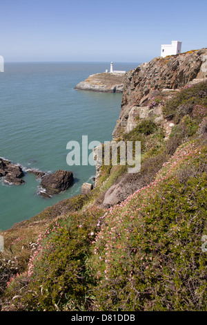 Wales Küstenweg in Nord-Wales. Malerische Aussicht auf Holy Island West Küste Klippen. Stockfoto