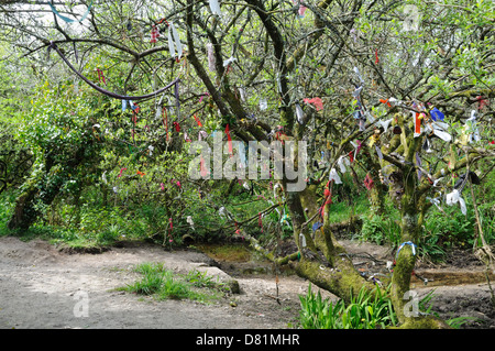 Votivgaben auf einem Baum am Madron Heilige gut Cornwall England UK GB Stockfoto