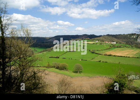 Ansicht des unteren Wye Valley von den Eagles nest Aussichtspunkt, dass Windcliffe in der Nähe von Chepstow Monmouthshire Süd wales uk Stockfoto