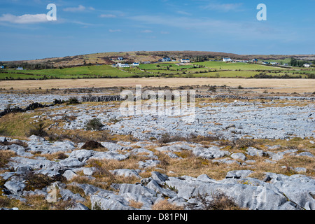 Der Carran Depression, einer großen karstige Depression oder Doline, sagte zu den größten in Europa, in die Burren, Co Clare, Irland Stockfoto