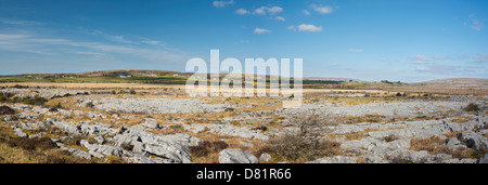 Der Carran Depression, einer großen karstige Depression oder Doline, sagte zu den größten in Europa, in die Burren, Co Clare, Irland Stockfoto