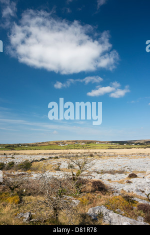 Der Carran Depression, einer großen karstige Depression oder Doline, sagte zu den größten in Europa, in die Burren, Co Clare, Irland Stockfoto