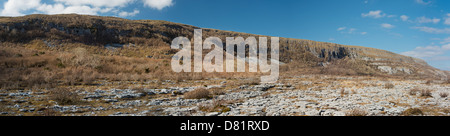 Kalkstein Pflaster an Keelhilla National Nature Reserve, Burren, County Clare, Irland Stockfoto