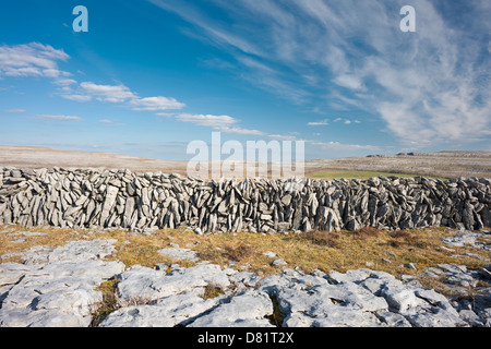 Pflaster und Stein Kalksteinwand an Keelhilla National Nature Reserve, Burren, County Clare, Irland Stockfoto