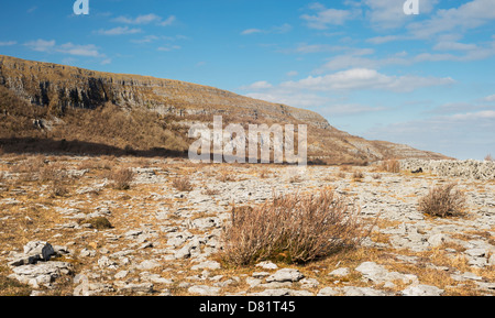 Kalkstein Bürgersteig vor Slieve Carran an Keelhilla National Nature Reserve, Burren, County Clare, Irland Stockfoto