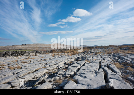 Kalkstein Pflaster an Keelhilla National Nature Reserve, Burren, County Clare, Irland Stockfoto