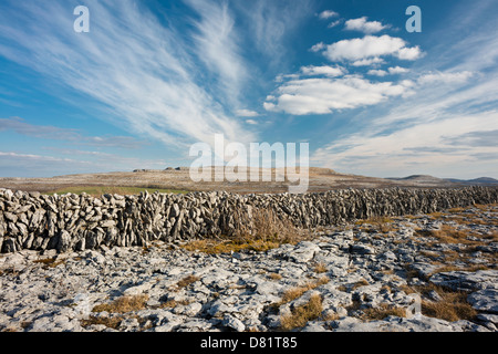 Pflaster und Stein Kalksteinwand an Keelhilla National Nature Reserve, Burren, County Clare, Irland Stockfoto