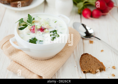 kalter Sommer Suppe mit Joghurt, russische Lauchzwiebel, Essen Stockfoto