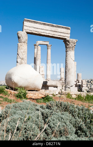 Tempel des Herkules, Zitadellenhügel, Amman, Jordanien Stockfoto