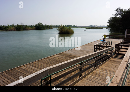 Mann wirft ein Fischernetz in den Rio Grande Fluss im Anzalduas Park in Mission, Texas. Stockfoto