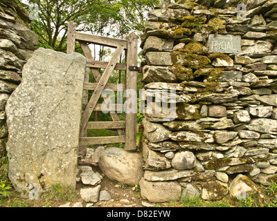 Hecke als Trockenmauer mit einem Tor am Ridal Urlaubsland Verzerrung im Lake District, Cumbria, UK Stockfoto