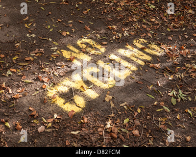 London, Hampstead Heath, gelb kein Radsport Zeichen auf Boden, bedeckt mit Herbstlaub Fußweg gemalt Stockfoto