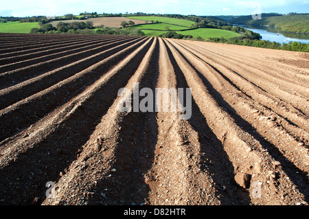 Neu Acker in Cornwall, Großbritannien Stockfoto