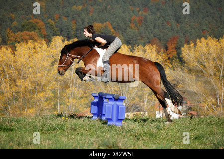 Frau reitet Mischling Stockfoto