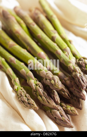 Frischer Spargel Stockfoto